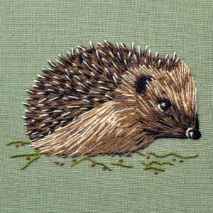 Bluebird Embroidery Company Silk Shading Hedgehog 