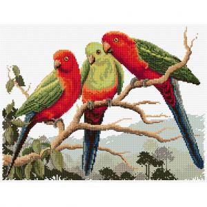 Country Threads King Parrots Pattern 